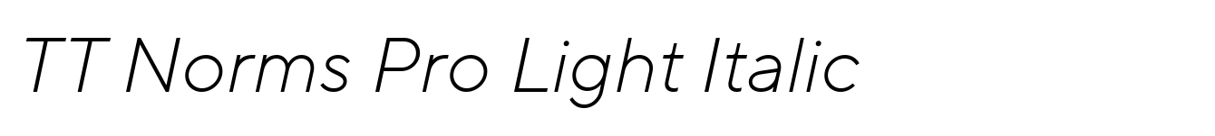 TT Norms Pro Light Italic